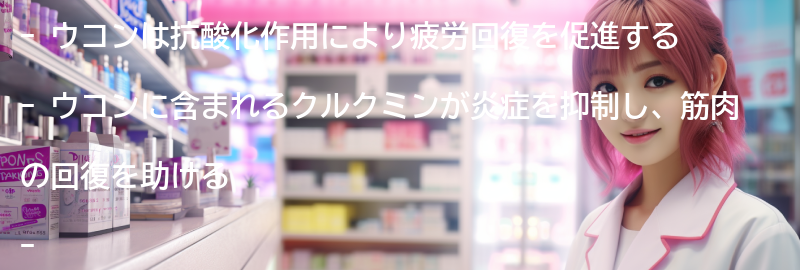 疲労回復にウコンが効果的な理由の要点まとめ