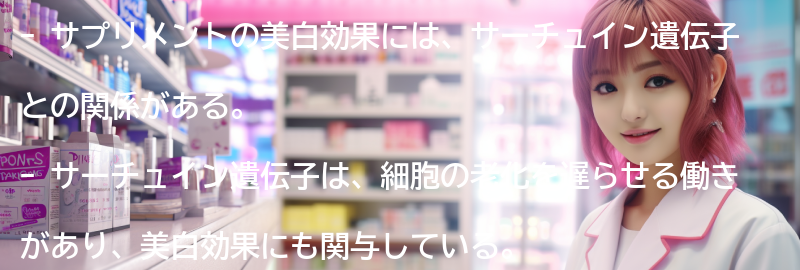 おすすめのサプリメントとその成分の要点まとめ
