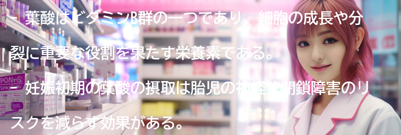 葉酸とはどのような栄養素なのか？の要点まとめ