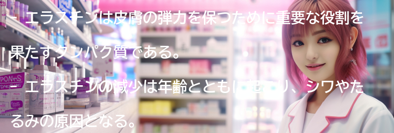 エラスチンとは何か？の要点まとめ