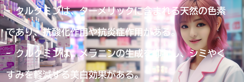 クルクミンとは？の要点まとめ
