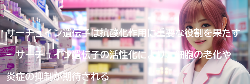サーチュイン遺伝子と抗酸化作用の関係の要点まとめ