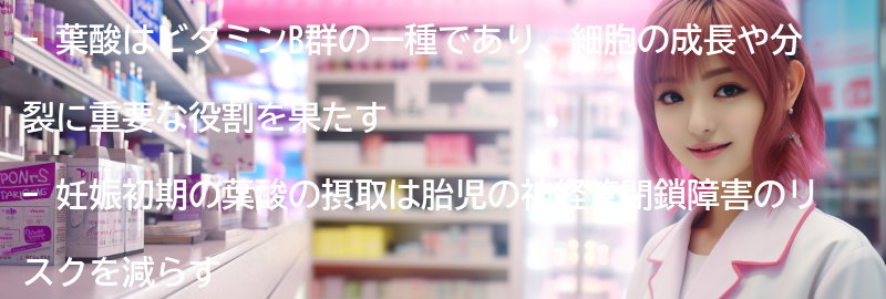 葉酸とは何か？の要点まとめ