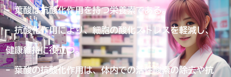 葉酸の抗酸化作用とは？の要点まとめ