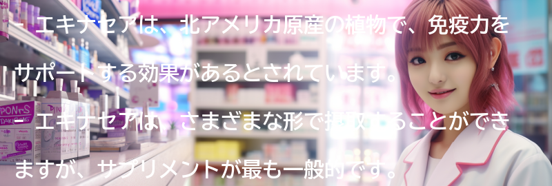 エキナセアとは何ですか？の要点まとめ