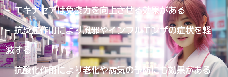 エキナセアの主な効果とは？の要点まとめ