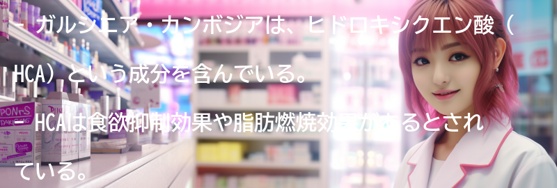 ガルシニア・カンボジアの主な成分とその効果の要点まとめ