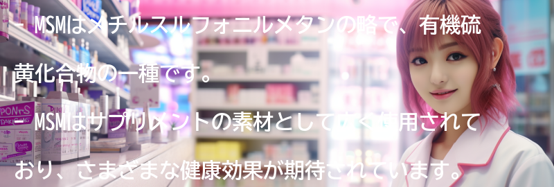 MSMとは何ですか？の要点まとめ