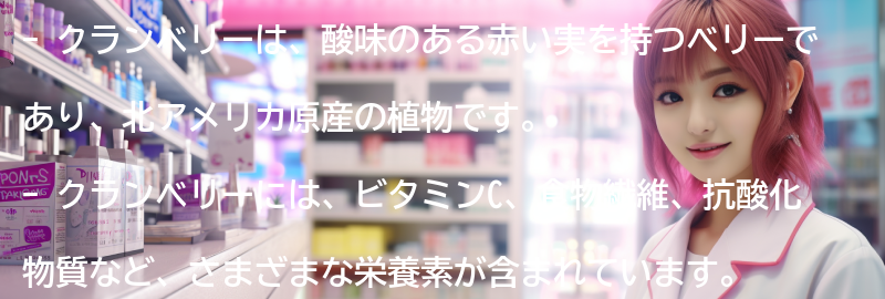クランベリーとは？その特徴と栄養価についての要点まとめ