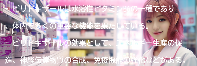 ピリドキサールのサプリメントの選び方とおすすめ商品の要点まとめ