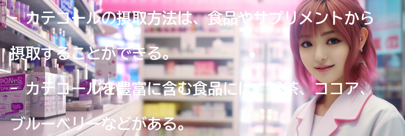 カテコールを摂取する方法の要点まとめ