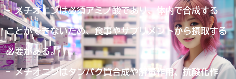 メチオニンに関する最新研究と情報の要点まとめ