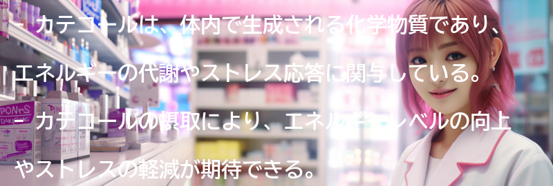 カテコールの摂取による体への影響の要点まとめ