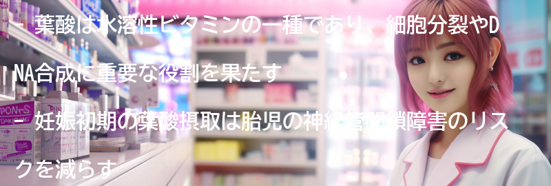 葉酸とは何か？-の要点まとめ
