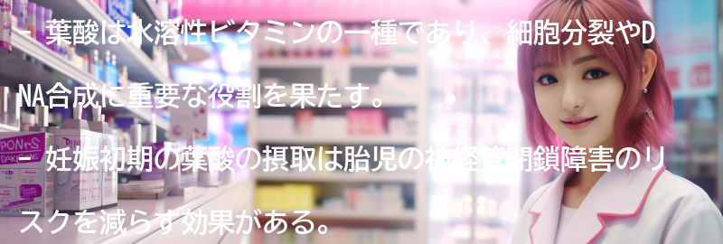 葉酸の摂取方法の要点まとめ