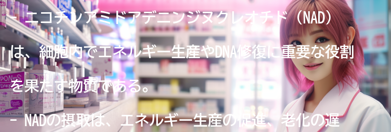 ニコチンアミドアデニンジヌクレオチドとは何ですか？の要点まとめ