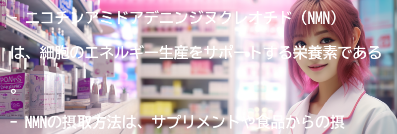 ニコチンアミドアデニンジヌクレオチドの摂取方法の要点まとめ