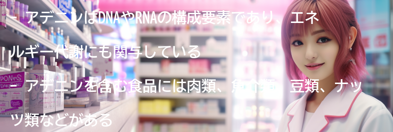 アデニンを含む食品の紹介の要点まとめ
