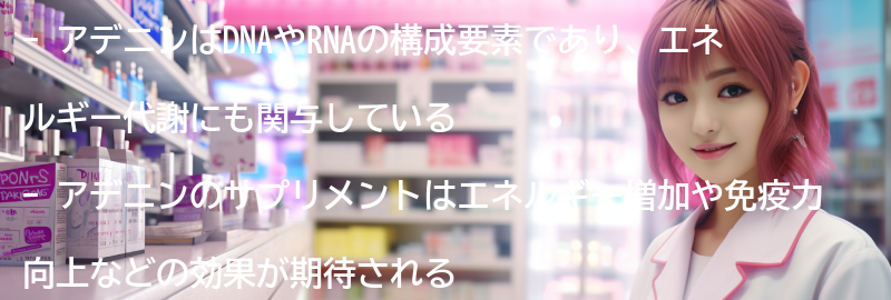 アデニンのサプリメントの選び方とおすすめ商品の要点まとめ